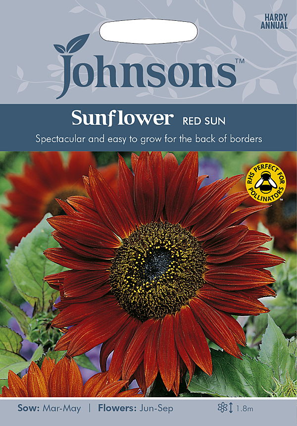 サンフラワー・レッド・サン