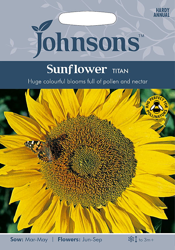 サンフラワー（ひまわり）・タイタン