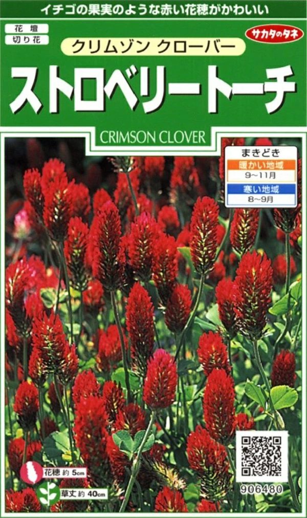 クリムゾンクローバーストロベリートーチ
