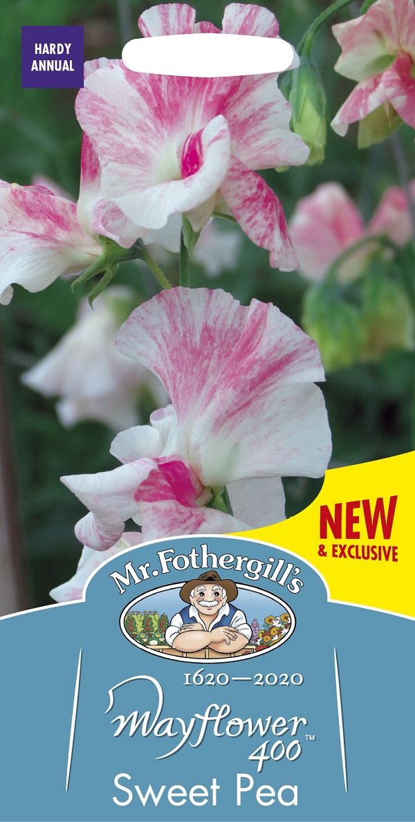 【輸入種子】 Mr.Fothergill's Seeds Sweet Pea Mayflower 400 スイートピー・メイフラワー 400