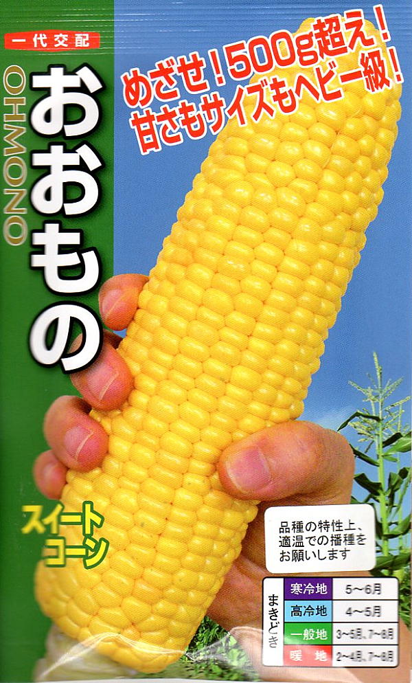 スイートコーン　おおもの