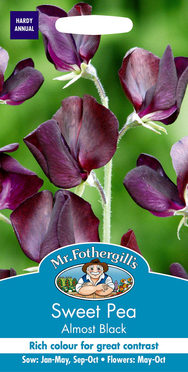 sweet pea スイートピー K18 Sweet Pea スイート ピー Sweet Pea, Jet Set Mixed Colors (Knee-Hi) Seeds | Annual