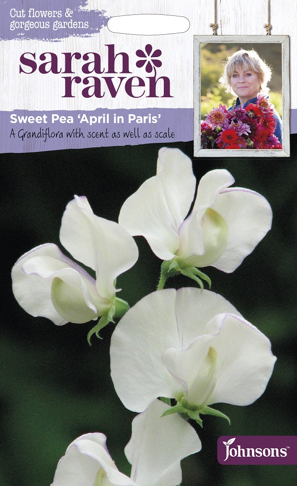 Sweet Pea April in Paris