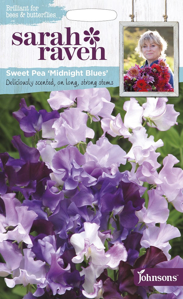 スイート・ピー ミッドナイト・ブルース