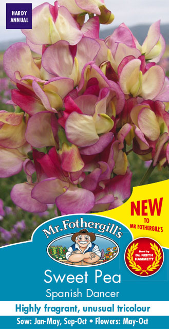 スイート・ピー・スパニッシュ・ダンサー