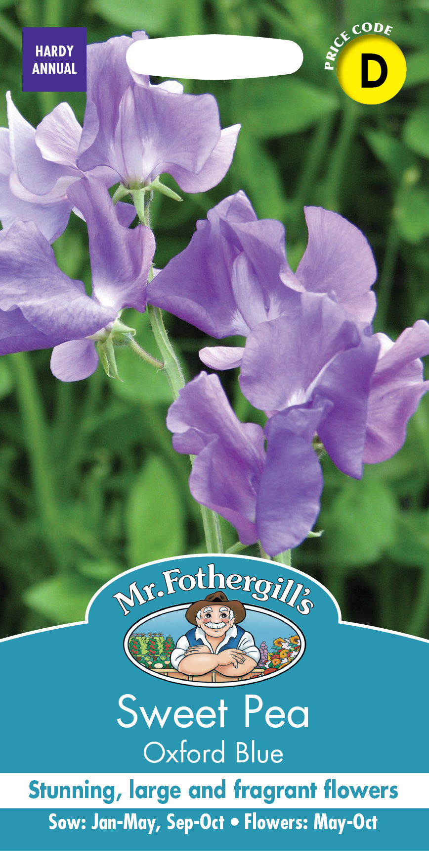 スイートピー・オックスフォードブルー