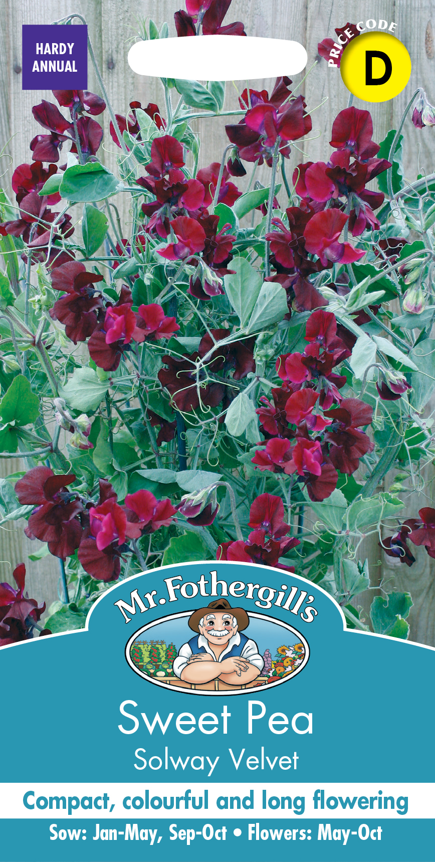 スイートピー・ソルウェイ・ベルベット