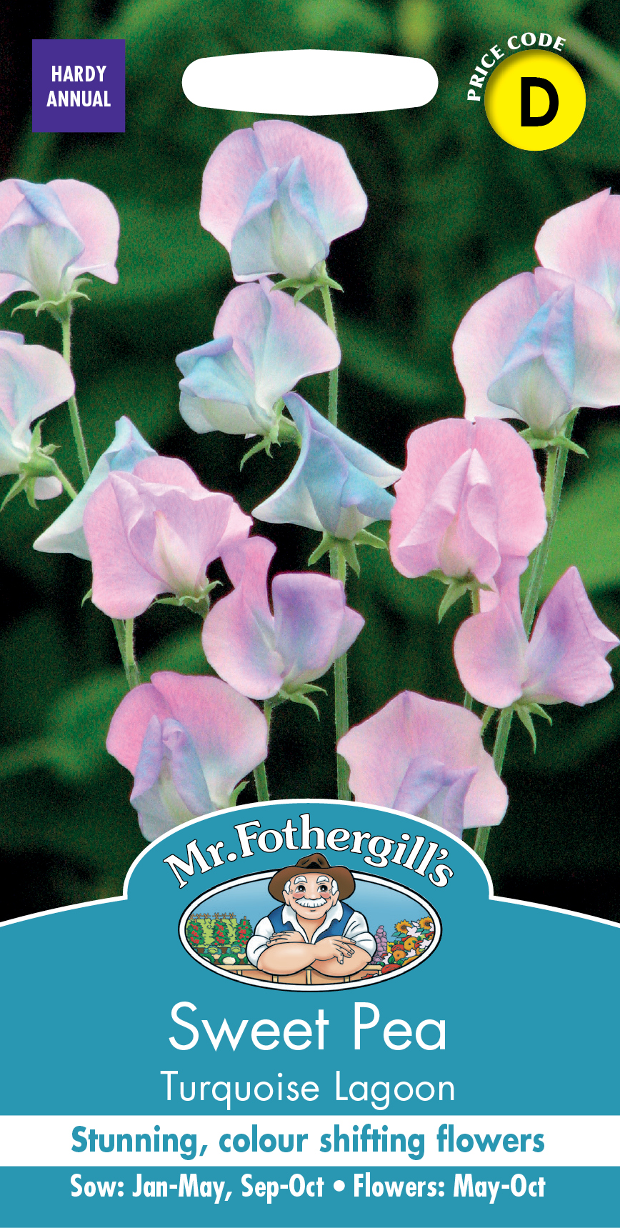 スイートピー・ターコイズ・ラグーン
