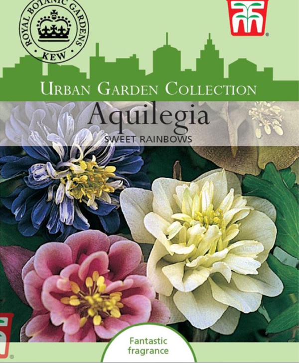 アキレギア スウィートレインボー