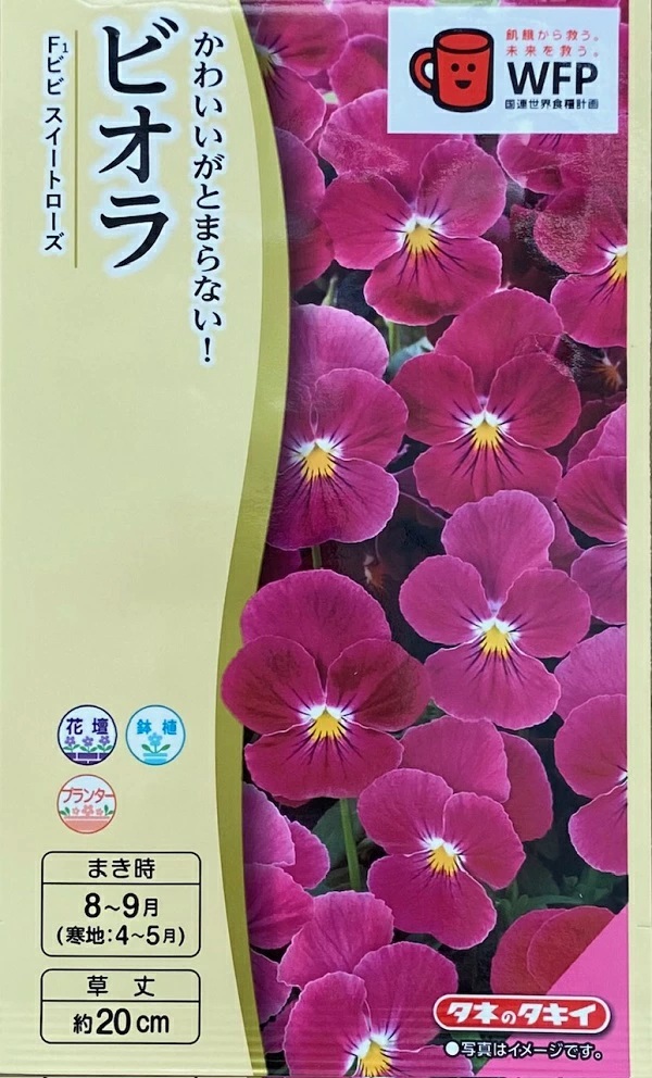 ビオラ　ビビスイートローズ