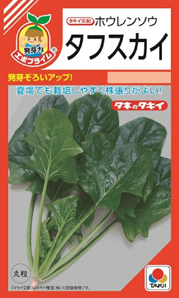 ホウレンソウ　タフスカイ