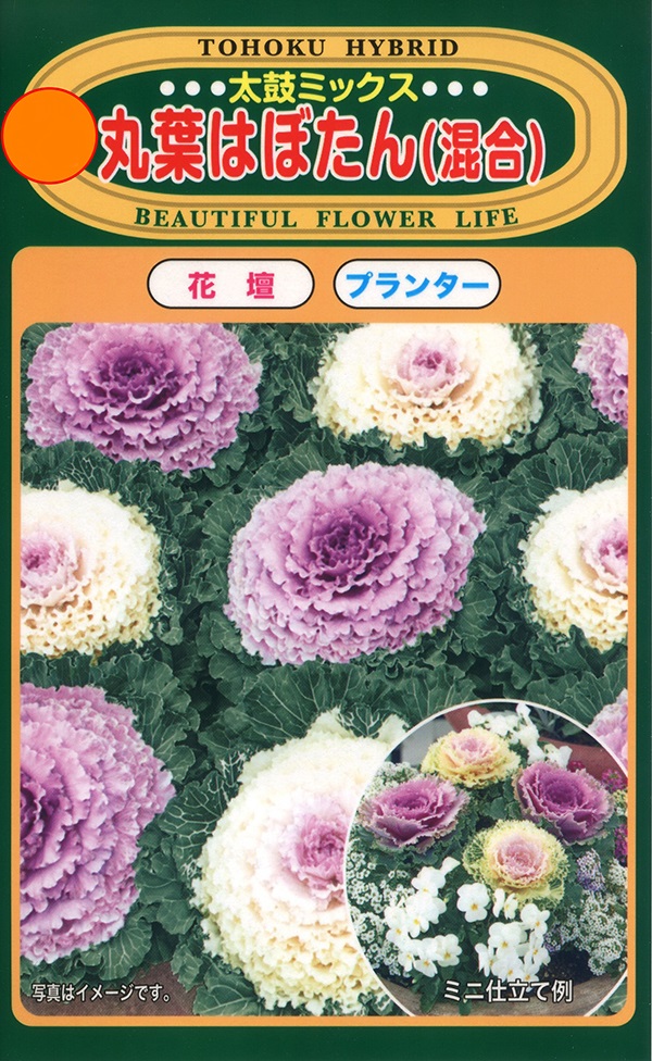 丸葉はぼたん(混合)太鼓ミックス