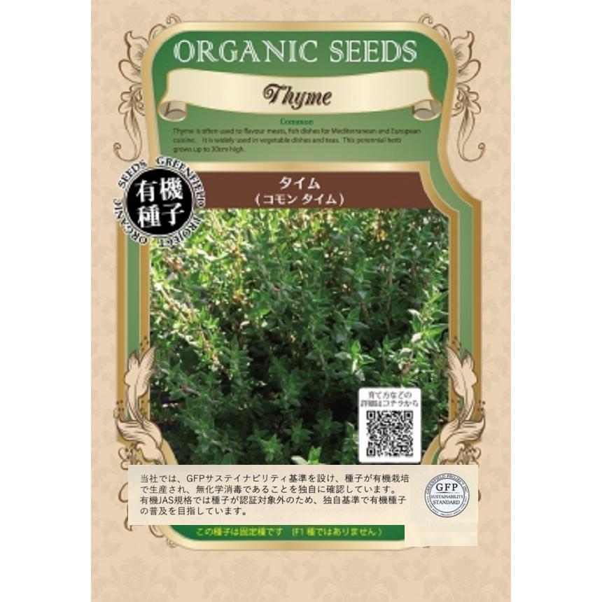 タイム（コモンタイム）グリーンフィールド