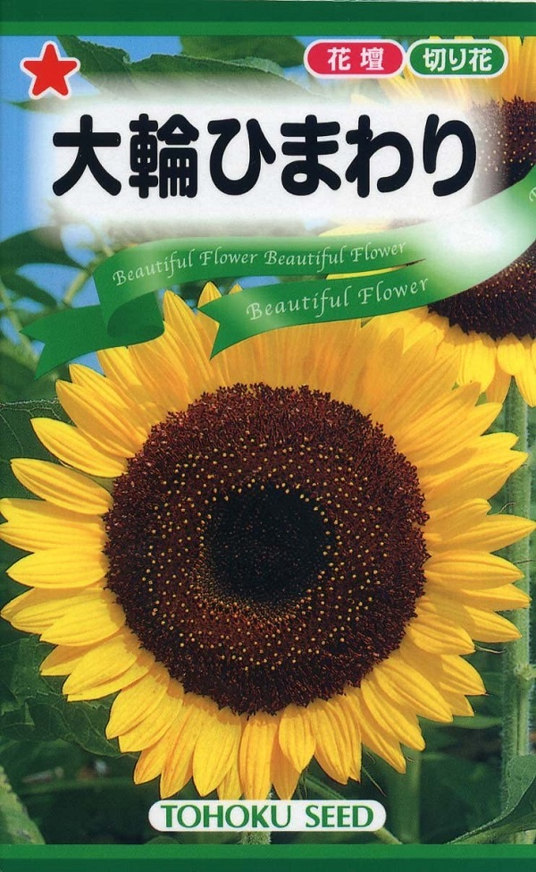 花種子 大輪ひまわり トーホクのタネ