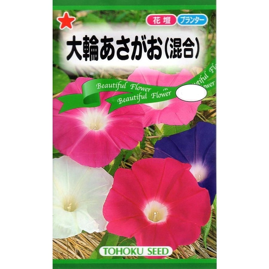 大輪あさがお混合