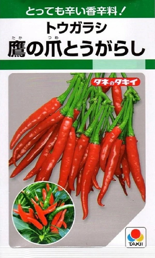 鷹の爪トウガラシ