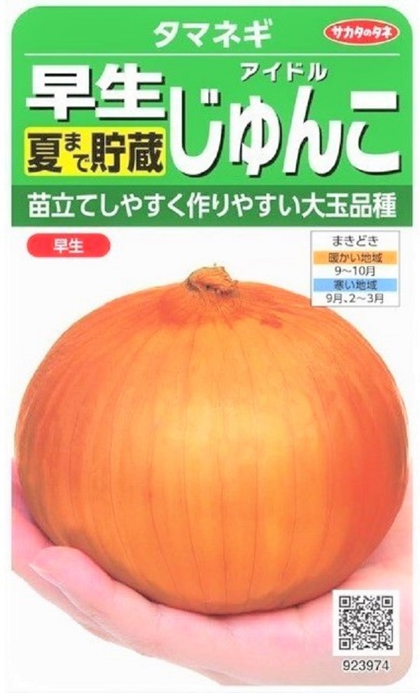 野菜種子 玉ねぎ 早生 夏まで貯蔵 アイドルじゅんこ サカタのタネ