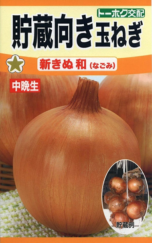 貯蔵向き玉ねぎ新きぬ和