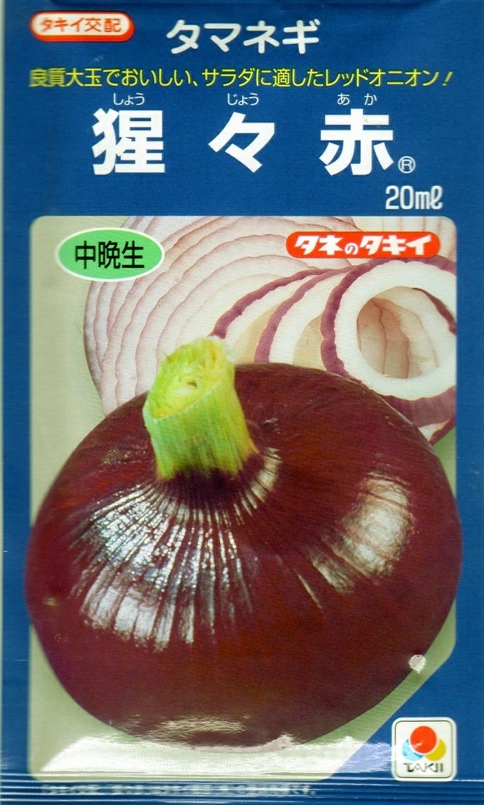 タマネギ　猩々赤