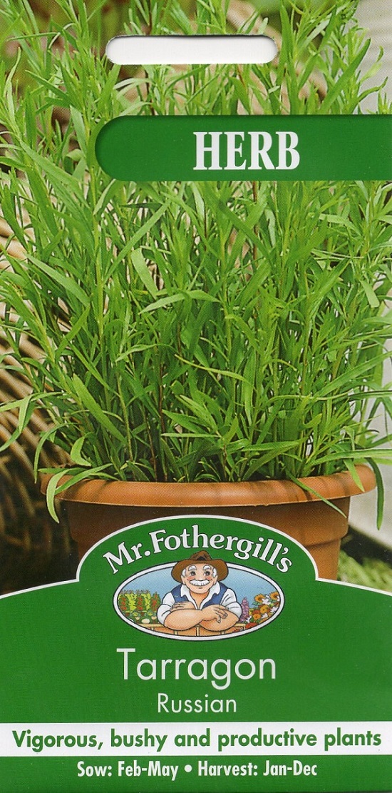 HERB Tarragon Russian ハーブ タラゴン・ルシアン