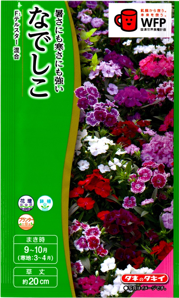 なでしこテルスター