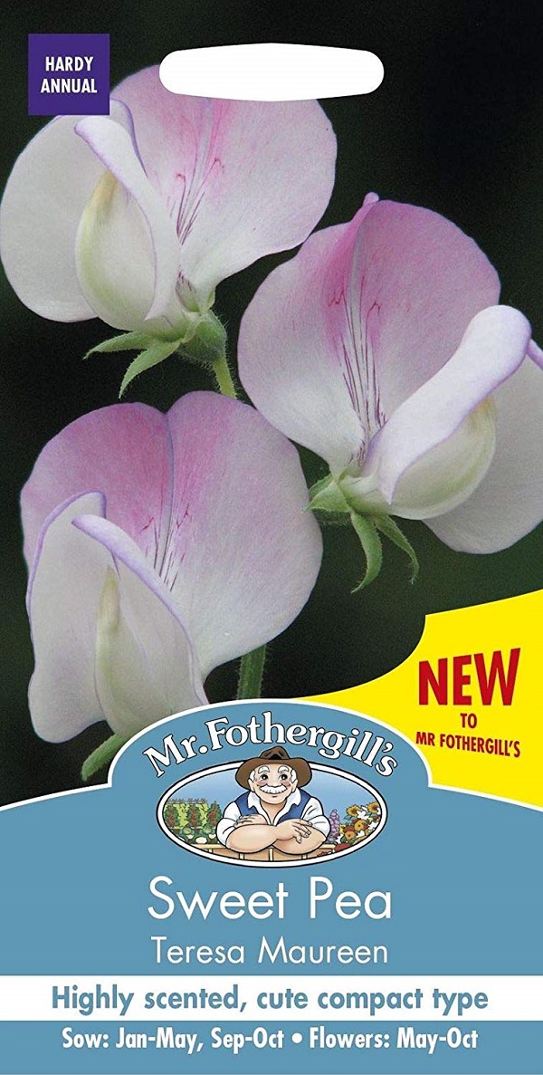 スイートピー テレサ・モーリーン