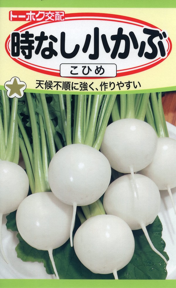 時なし小かぶ こひめ