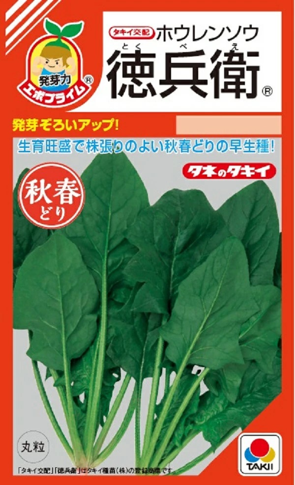 ホウレンソウ　徳兵衛