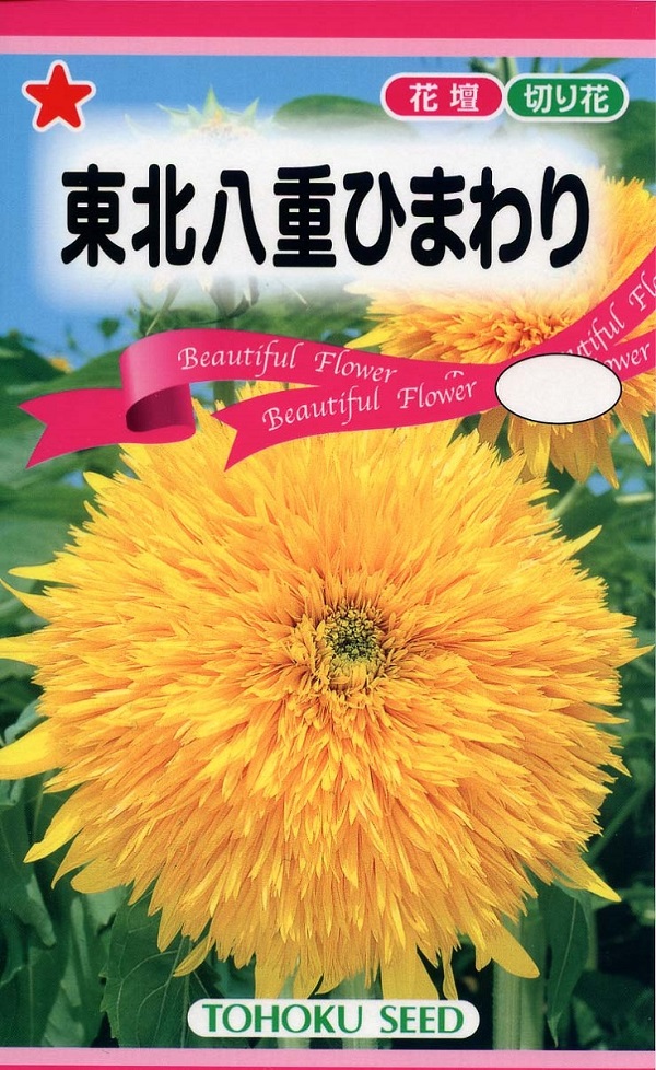 花種子 東北八重ひまわり トーホクのタネ