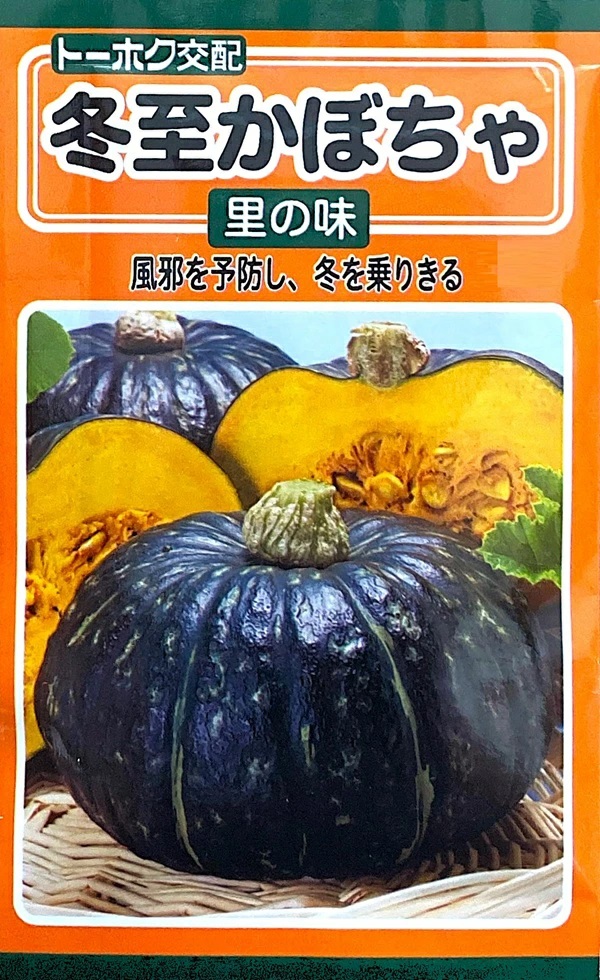 種子】 冬至かぼちゃ 里の味 トーホクのタネ