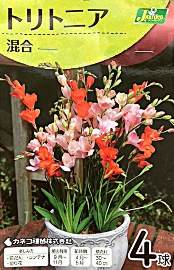 トリトニア混合