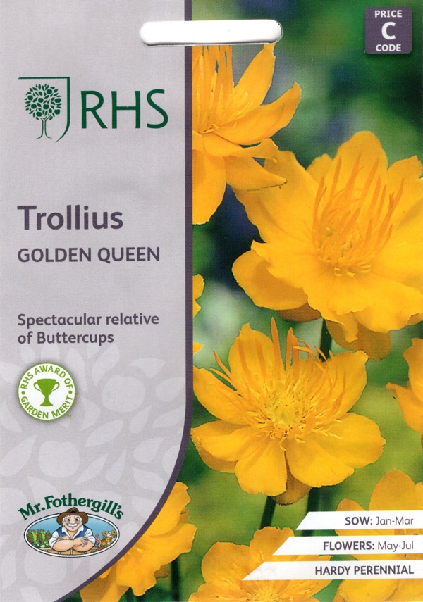 trollius golden queen
