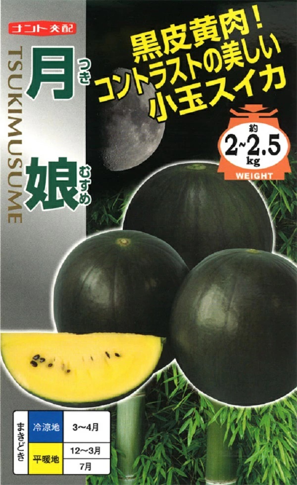 スイカ　月娘