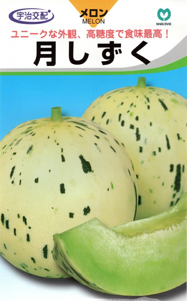 月しずくメロン