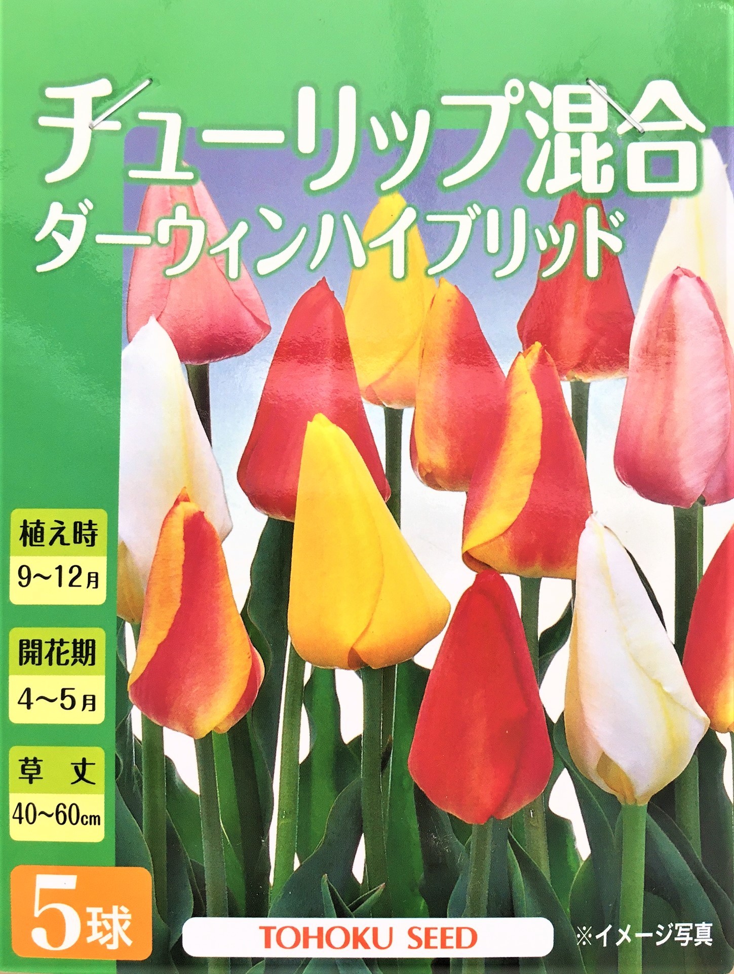 ダーウィンハイブリット
