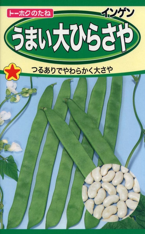 インゲン うまい大ひらさや