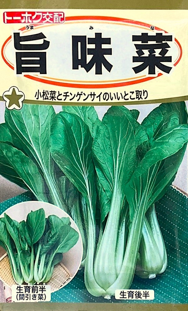 旨味菜