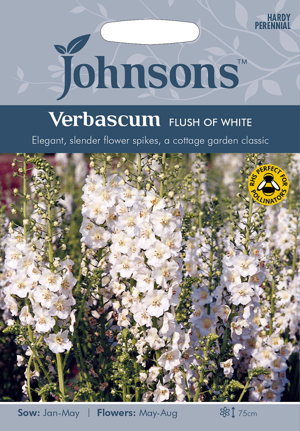 ヴァーバスカム・フラッシュ・オブ・ホワイト