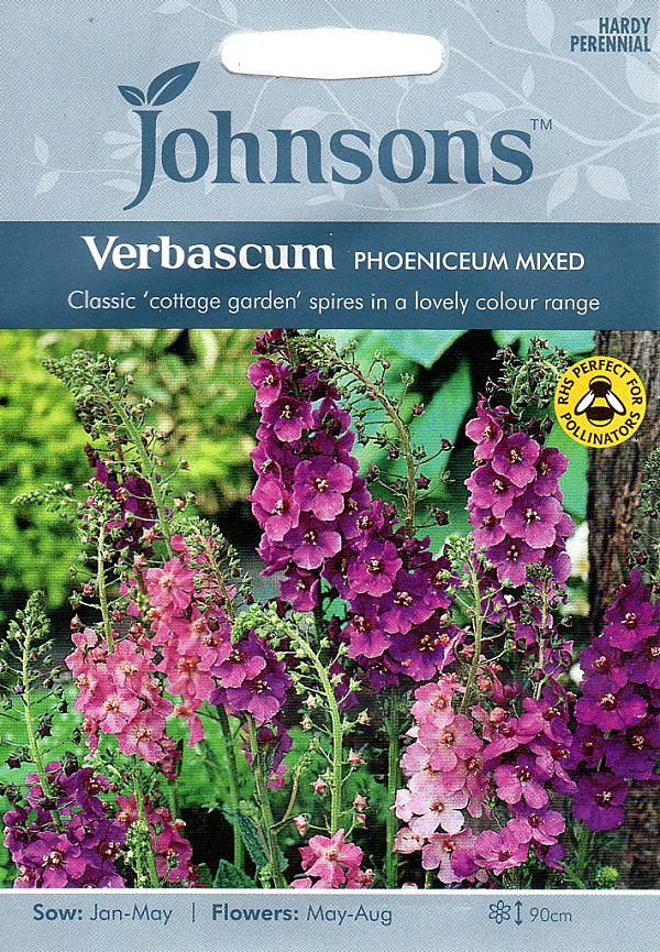 ヴァーバスカム・ミックス・カラー