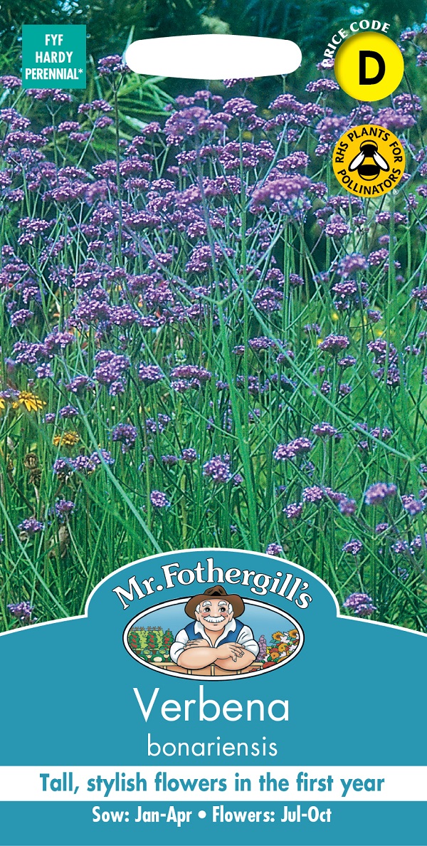 バーベナ　ボナリエンシス