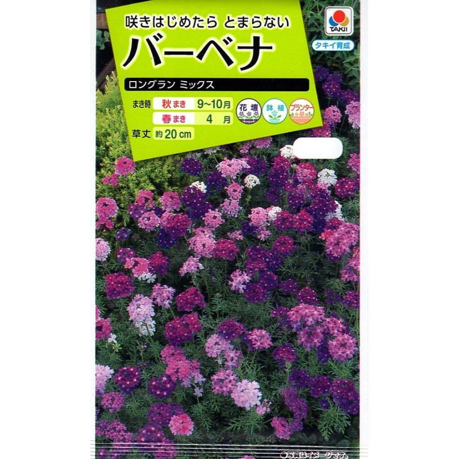 バーベナ　ロングランミックス