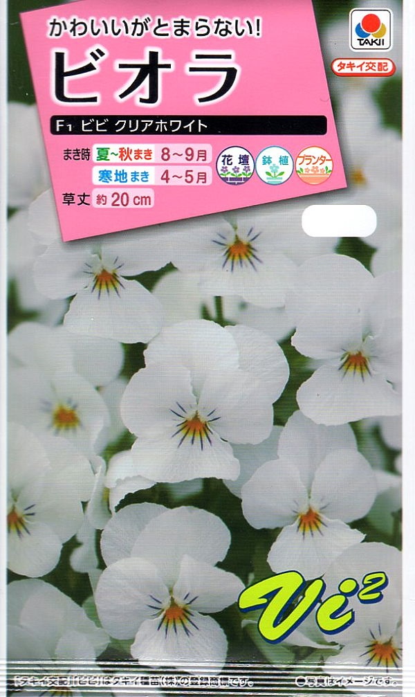 ビオラ　ビビ　クリアホワイト