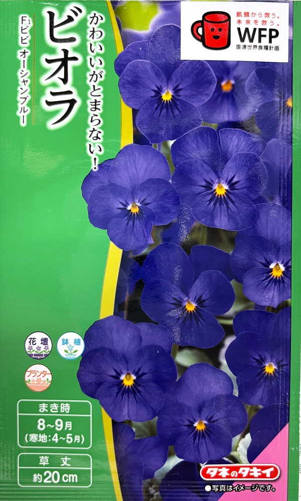 ビオラビビオーシャンブルー