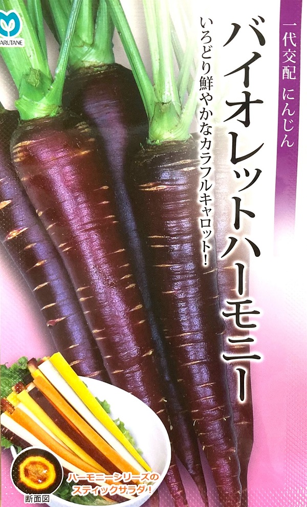 ニンジン　バイオレットハーモニー