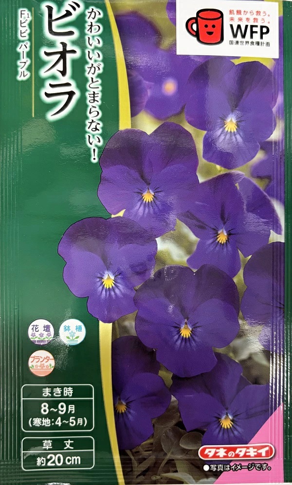ビオラ ビビパープル