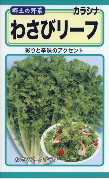 わさびリーフ