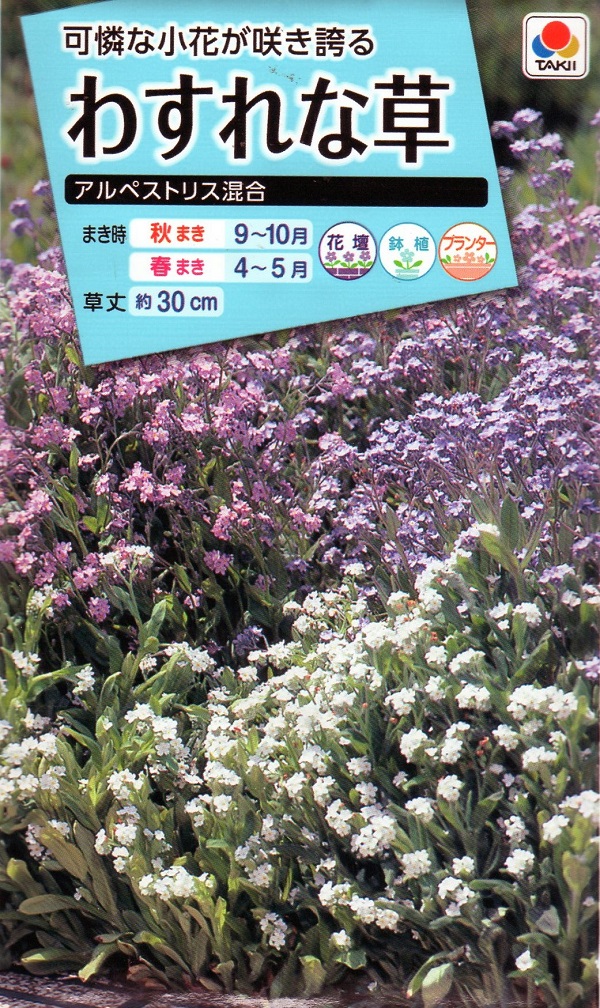 わすれな草アルペストリス混合