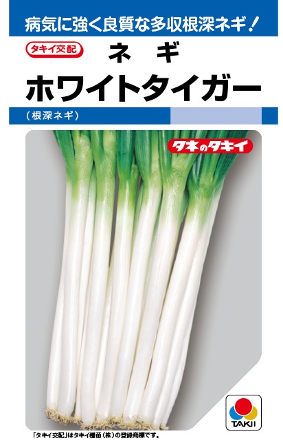 ネギ　ホワイトタイガー