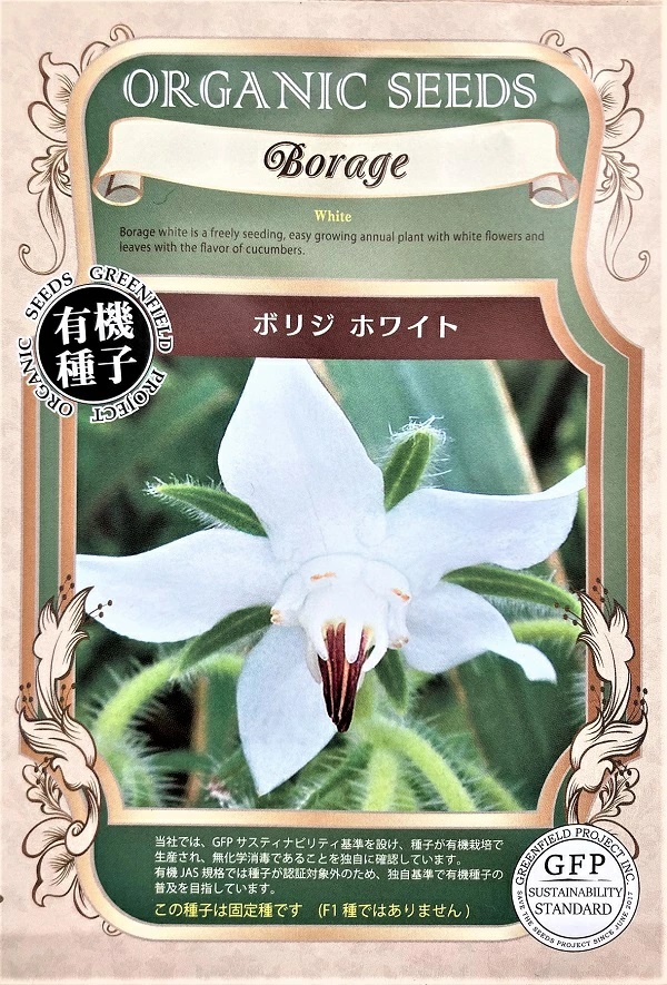 ボリジ　ホワイト