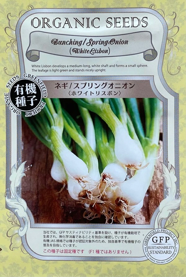 スプリングオニオン